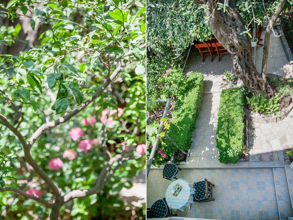 Rooms Garden Petrovac Exterior photo