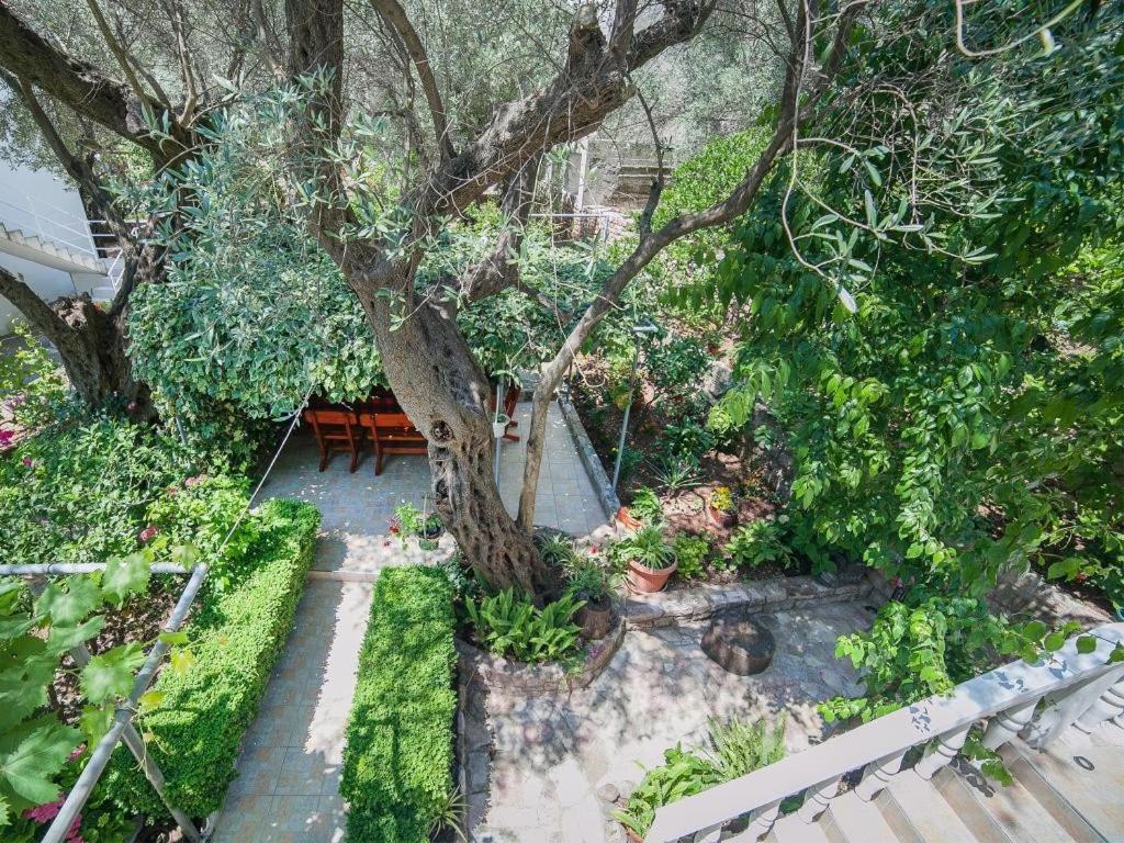 Rooms Garden Petrovac Room photo