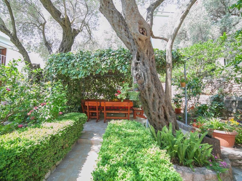 Rooms Garden Petrovac Room photo